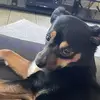 sandralaurie335 - @sandralaurie335 - TikTok