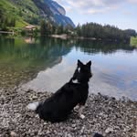 Sandra - @sandralaux - Instagram
