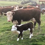 Sandra Laverty - @slav73 - Instagram