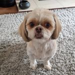 Sandra Laverty - @laverty9123 - Instagram