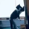 Sandra Lavin. sandy - @sandra.lavin..san - TikTok