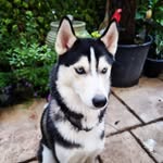 Sandra Lawless - @lawlesssandra - Instagram