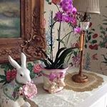Sandra Leahy - @leahy_sandra - Instagram