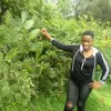leavy Sandra - @user7894124360161 - TikTok