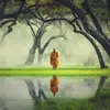 Sandra LE BRUN - @sandra.le.brun - TikTok