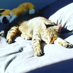 Sandra Lebrun - @sandra.lebrun.1656 - Instagram