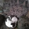 sandralebrun12 - @sandralebrun12 - TikTok