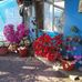 Sandra Lecaros - Facebook