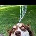 Sandie LeClair - Facebook