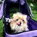 Sandra LeClair - Facebook