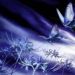 Sandra Leclerc - @sandra.leclerc.710 - Instagram