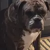 Sandra Ledet - @sandra.ledet - TikTok
