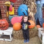 Sandra Ledford - @sandra.ledford.771 - Instagram