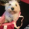 sandraledford595 - @sandraledford595 - TikTok