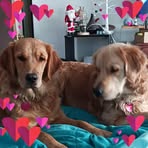 Sandra Wiggin Ledrew - Facebook