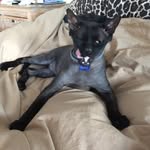 Sandra Lee Soper Curness - @sandra_lee_soper - Instagram