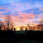 Sandra Lees Whiteley - @sandrawhiteley - Instagram