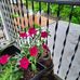 Sandra Leffler - Facebook