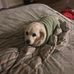 Sandra Legan - Facebook