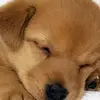 user1645944923440 - @sandralehmann1985 - TikTok