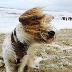 Sandra Lehner - @salehn - Instagram