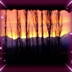 Sandra Teresa Lehocky - Facebook