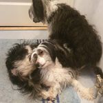 Sandra Leino - @sandrale2008 - Instagram