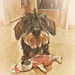 greta_paula_von_der_niederelbe - @sandra_leistner_und_paula - Instagram