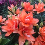 Sandra Leist Smith - Facebook