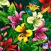 Sandy Lemaster - Facebook