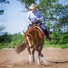 Sandra Lemieux - @sandralemieux.1 - TikTok