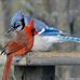 Sandra Lemieux - Facebook