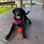 Sandra Lemmon - @slemmon02 - Instagram