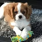 Sandra Lemoine - @sandralemoine67 - Instagram