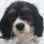 @_sandra_lemon - Instagram