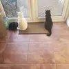 sandralemon24 - @sandralemon24 - TikTok