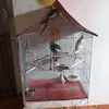 Sandra Lemos - @sandra.lemos29 - TikTok