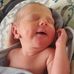 Sandra Lenhart - Facebook