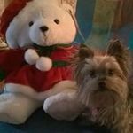 Sandra Lenhart - @sandra.lenhart.54 - Instagram