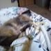 Sandra Lenhart - Facebook
