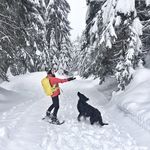 Sandra Lensink - @sandra_lensink - Instagram