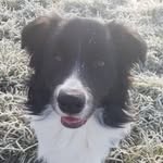 Sandra Lensink - @sandralensink1 - Instagram