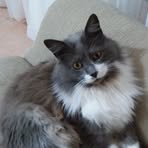 Sandra Lenzi - Facebook