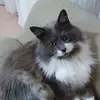 Sandra Lenzi - @sandralenzi2 - TikTok
