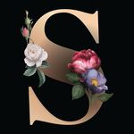 Sandra Lenzi - @sandralenzi1964 - Instagram