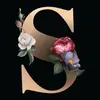 sandralenzi802 - @sandralenzi802 - TikTok