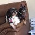 Sandra Leonetti - Facebook