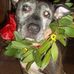 Sandra Leonetti - Facebook