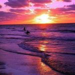 Sandra Le-page - @sandra.lepage.946 - Instagram