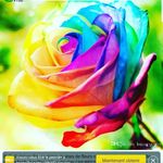 Sandra Lepage - @sandralepage70 - Instagram
